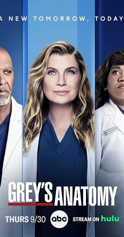 grey's anatomy imdb|grey's anatomy official website.